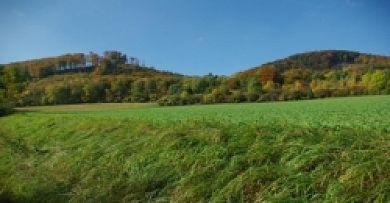Land-Gut-Hotel Raeuber Lippoldskrug Alfeld  Esterno foto