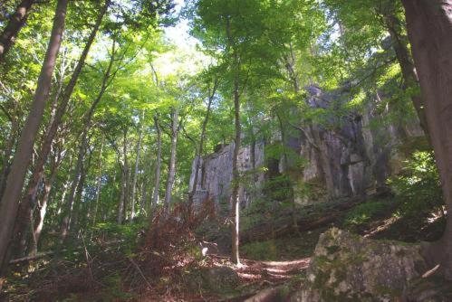 Land-Gut-Hotel Raeuber Lippoldskrug Alfeld  Esterno foto